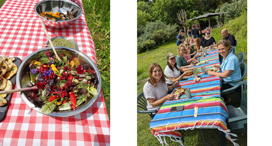 A group eating lunch at Stanmer Park, Brighton